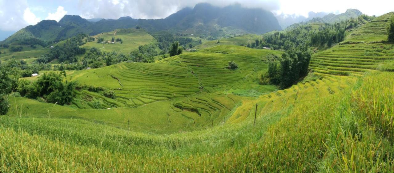 Dzay House Homestay Sa Pa Buitenkant foto